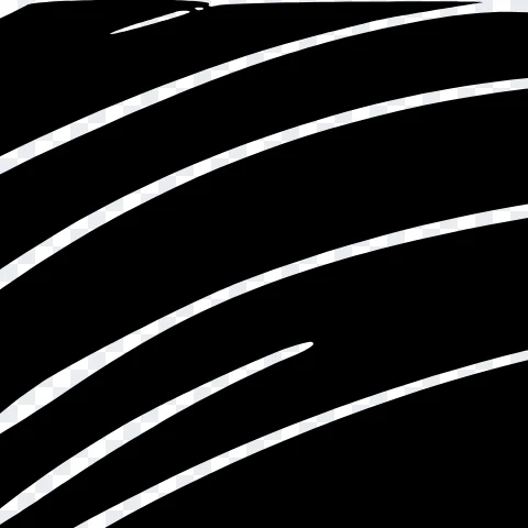 Ink drawing photographed on paper traced by Potrace, command-line defaults, on the image thresholded at 50% gray, zoomed in