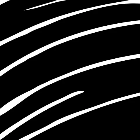 Ink drawing photographed on paper traced by Vectorizely, B&W mode, which traces contours straight from the grayscale image, zoomed in