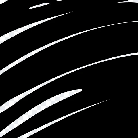 Ink drawing photographed on paper traced by VTracer, the 'bw' preset, zoomed in