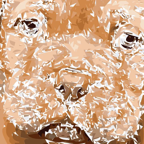 Photo traced by AutoTrace, zoomed in