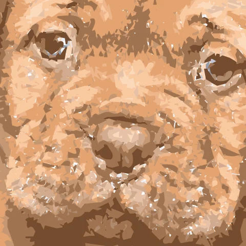 Photo traced by ImageTracer.js, zoomed in