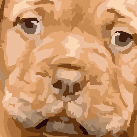 Photo traced by Vectorizely, zoomed in